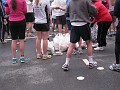 2011 Bay to Breakers Sunday 0135